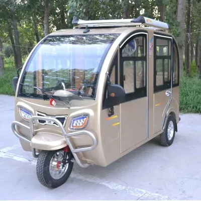 Triciclo eléctrico para 2 personas, diferencial para discapacitados