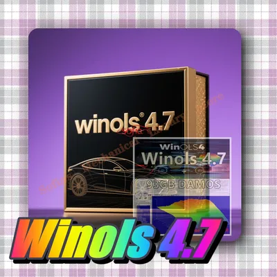 Winols 4.7 Full Activated Work Windows10 11 No Need Vmware Multi-language + Damos pack + ECM TITANIUM 1.61 + IMMO SERVICE Tool