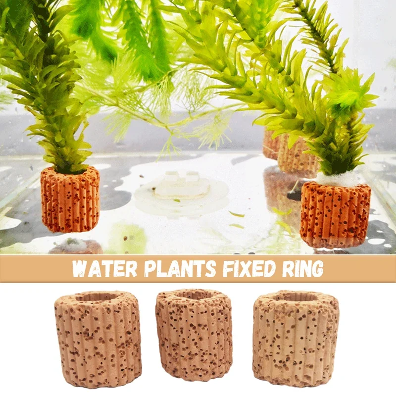 /50pcs Wasser wasser pflanze fester Ring für Aquarium Landschaft Keramik Pflanze Topf Ring Werkzeug Dekorationen Aquarium Zubehör Image
