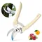Ciseaux de jardinage professionnels, jardinage en plein air, branche d