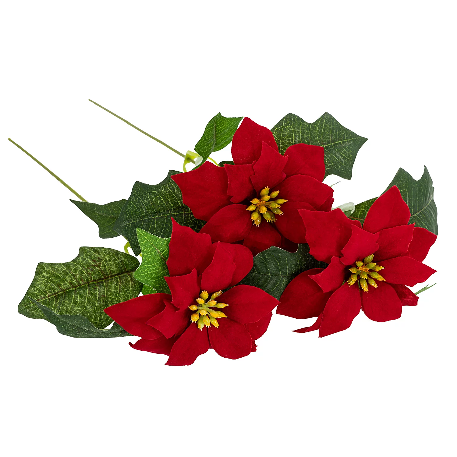 Weihnachtsstern, rot, 33 cm Image