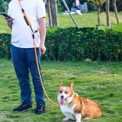 Dog Leash Hands Free Dogs Leash Reflective Leashes for Dog Walking Running Rope 2.4M Long Adjustable Double Leashes Dogs Ropes