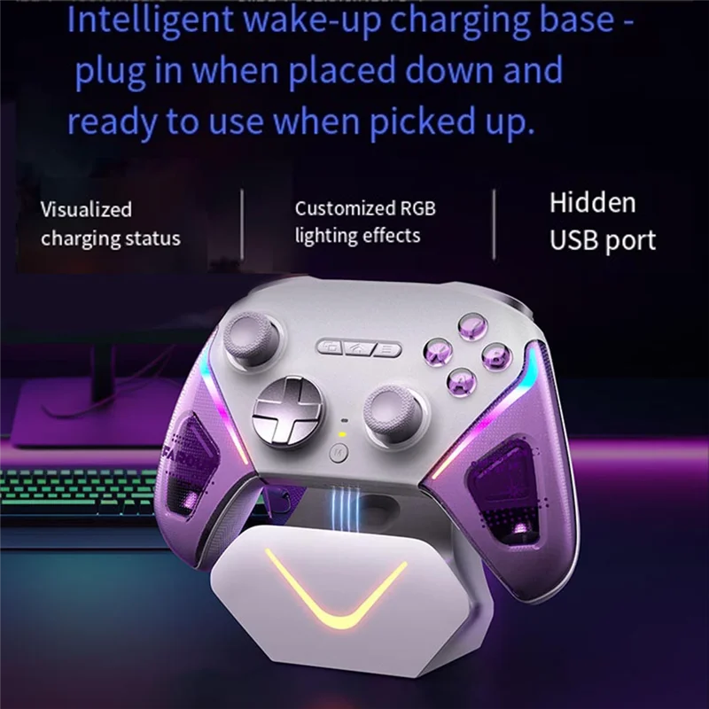 D10 Wireless Gamepad Bluetooth RGB Controller Für PC/Schalter Telefon/Steam TMR Sticks Hall Effekt Joystick Micro löst B