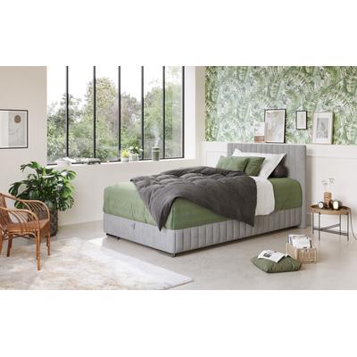 Boxbett COTTA "Beetle", grau (elephant), B:148cm L:210cm, 100% POLYESTER (PES), Komplettbetten, inkl. Topper und Bettkasten Image