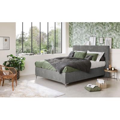 Boxbett COTTA "Kimy inkl. Bettkasten", grau (taupe), B:205cm L:211cm, 92% POLYESTER (PES), 8% POLYAMID (PA), Komplettbetten, erhältlich in den Breiten 160x200cm & 180x200cm Image