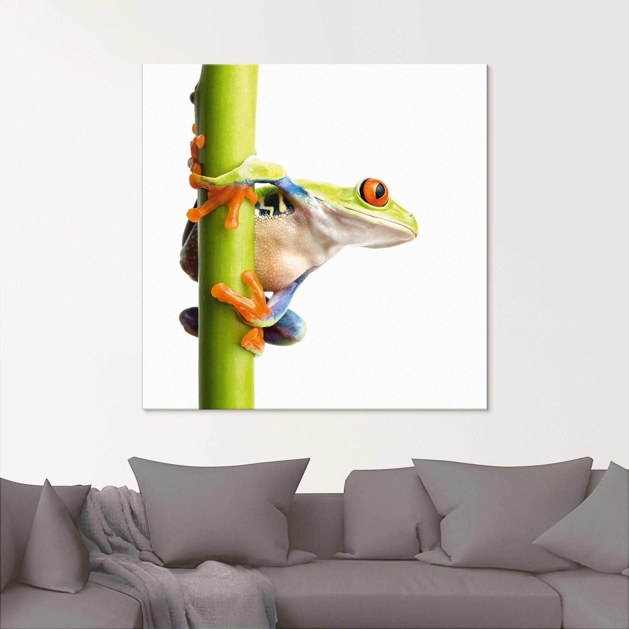 Glasbild ARTLAND "Frosch umfasst einen Pflanzenstengel", weiß (farbe bild(er): weiß), B:20cm H:20cm, Bilder Image