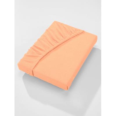 Betttuch BIBERNA Gr. 3, orange (melba), B:180-200cm L:200cm, Mako-Jersey, 100% Baumwolle, Laken Image