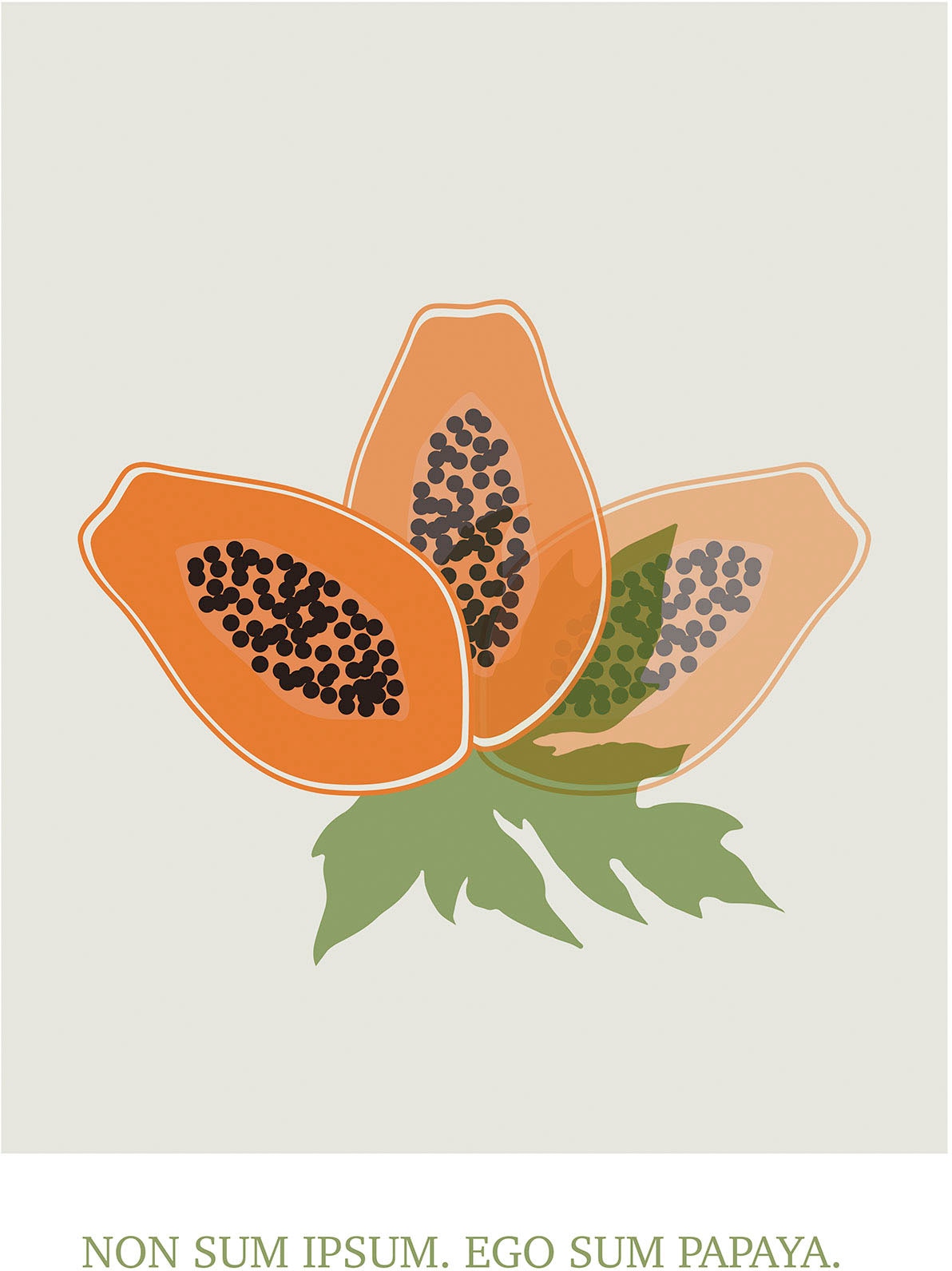 Bild KOMAR "Cultivated Papaya", orange (farbe bild(er): orange), B:40cm H:50cm, Holz, Papier, Bilder, Wandbild zur Dekoration - ohne Rahmen Image