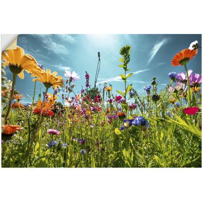 Wandbild ARTLAND "Buntes Blumenfeld", bunt (farbe bild(er): bunt), B:60cm H:40cm, Bilder, als Alubild, Outdoorbild, Leinwandbild, Poster, Wandaufkleber Image