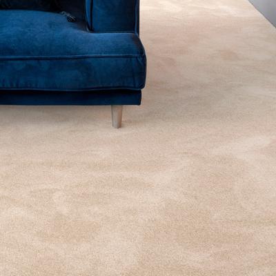 Teppichboden ANDIAMO "Levin, Velours, Made in Belgium", beige (hellbeige), B:400cm H:10mm L:800cm, Kunstfaser, Teppiche, Uni Farben, Breite 400 cm oder 500 cm, weiche Qualität Image