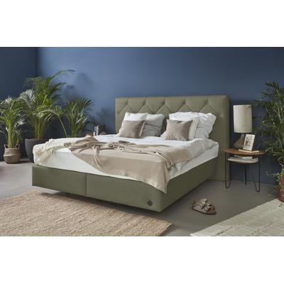 Boxspringbett BIRKENSTOCK "Stalon Box", grün (olivgrau hga 313), B:233cm L:216cm, Lederoptik HGA (100% Polyester), Scheuertouren 100000, Komplettbetten, Boxspringbett, Kopfteil mit Dicklederknöpfen, in unterschiedlichen Ausführungen Image
