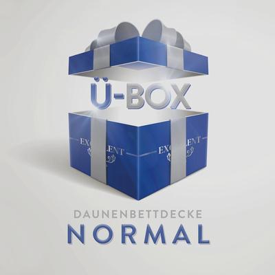 Daunenbettdecke EXCELLENT "Überraschungsbox", bunt, B:200cm L:200cm, Bezug: 100% Baumwolle. Füllung: 90% Daunen, 10% Federn, Bettdecken, absoluter Sonderpreis, wegen Lagerräumung, Solange der Vorrat reicht Image