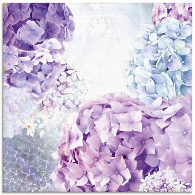 Glasbild ARTLAND "Blau und Pink Hortensie", lila (farbe bild(er): blau), B:50cm H:50cm, Bilder, in verschiedenen Größen Image