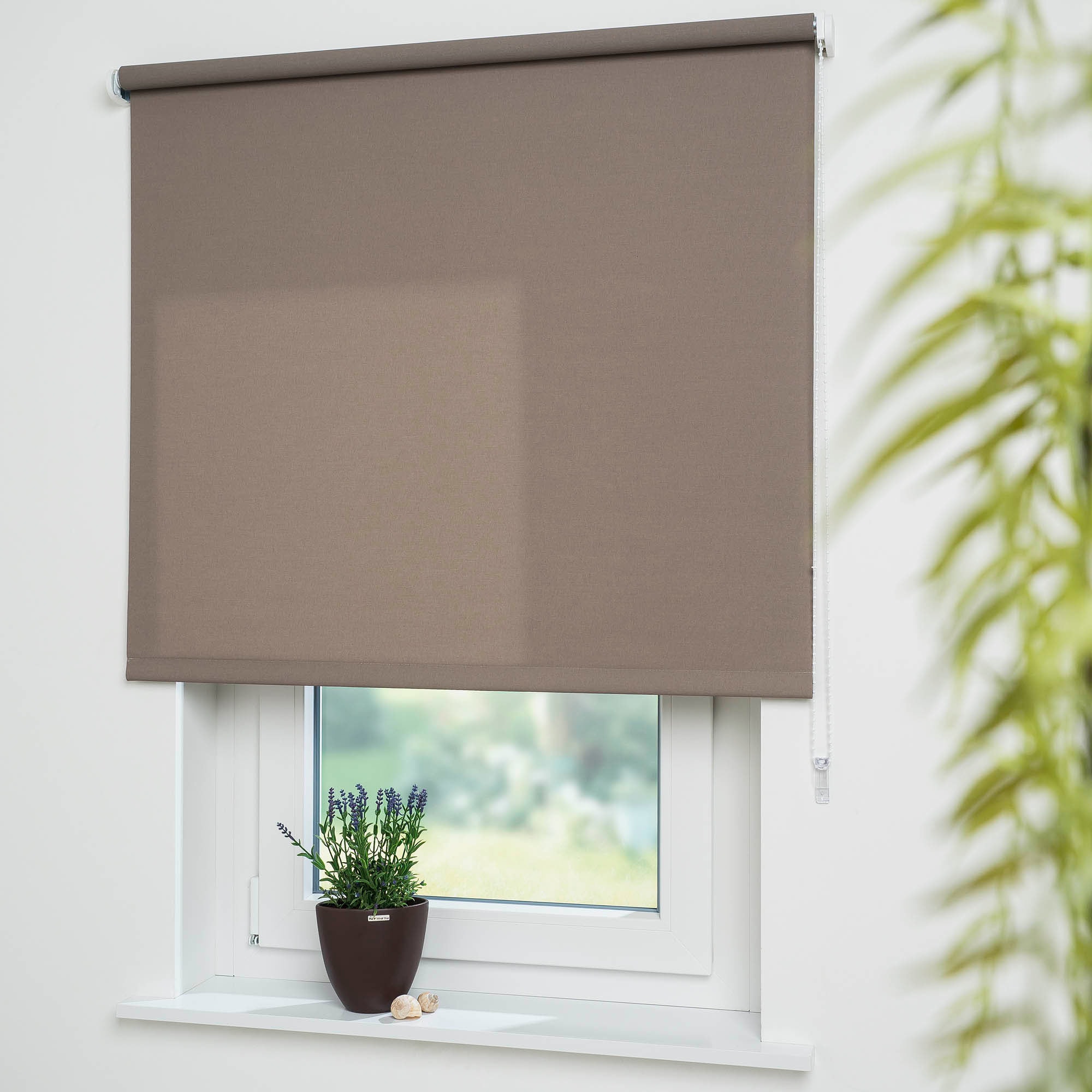 Seitenzugrollo LIEDECO "Uni" Gr. 10, braun (kaffee), B:202cm H:180cm, Polyester, Rollos, Montage ohne Bohren zum Klemmen mit separatem Klemmträger möglich Image