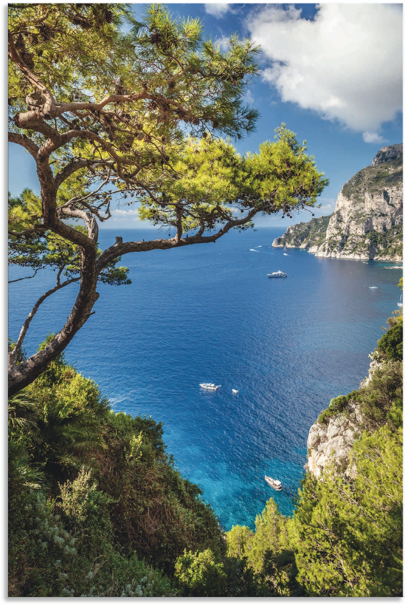 Wandbild ARTLAND "Punta de Masullo, Insel Capri, Italien", blau (farbe bild(er): blau), B:80cm H:120cm, Bilder, als Alubild, Outdoorbild, Leinwandbild, Poster, Wandaufkleber Image