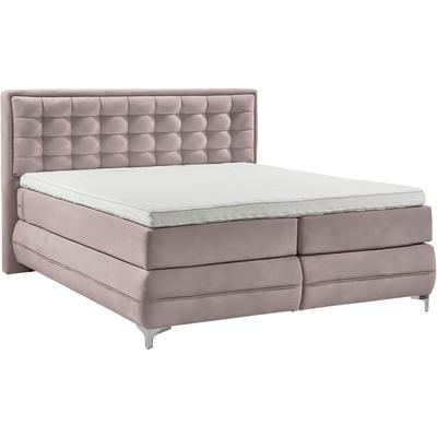 Boxspringbett MUSTERRING "Dubai", lila (d 531 flieder), B:197cm L:214cm, Komplettbetten, Boxspringbett, Winkelfuß in Chrom, 3 Härtegrade, Kopfteil in Kassettensteppung Image