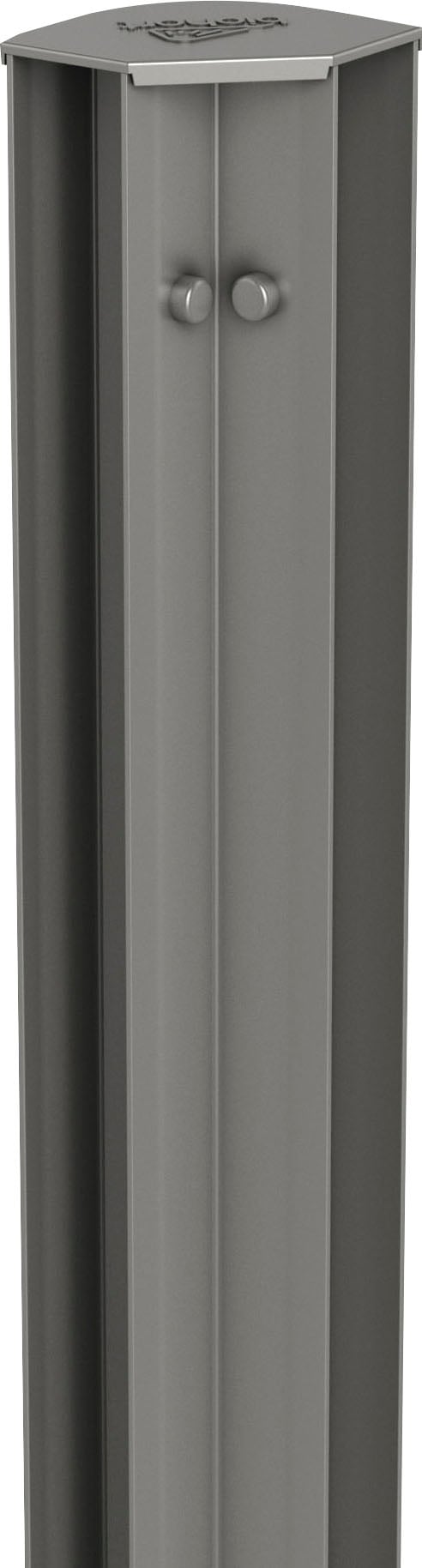 Eckprofil BIOHORT, grau (quarzgrau, metallic), B:7,2cm H:77cm L:7,2cm, Aluminium, Profile, für Hochbeet DaVinci MAXI Image