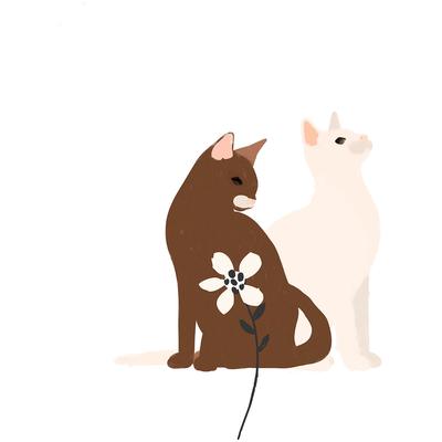 Bild KOMAR "Loving Cats", braun (farbe bild(er): braun), B:50cm H:70cm, Papier, Holz, Bilder, Wandbild zur Dekoration - ohne Rahmen Image