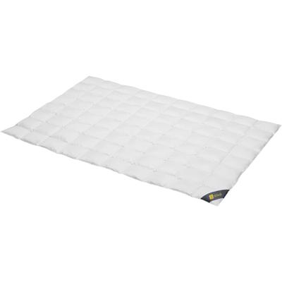 Gänsedaunenbettdecke SPESSARTTRAUM "Gold", weiß, B:200cm L:200cm, Bezug: 100% Baumwolle. Füllung: 100% Gänsedaunen, Bettdecken, hergestellt in Deutschland, allergikerfreundlich Image