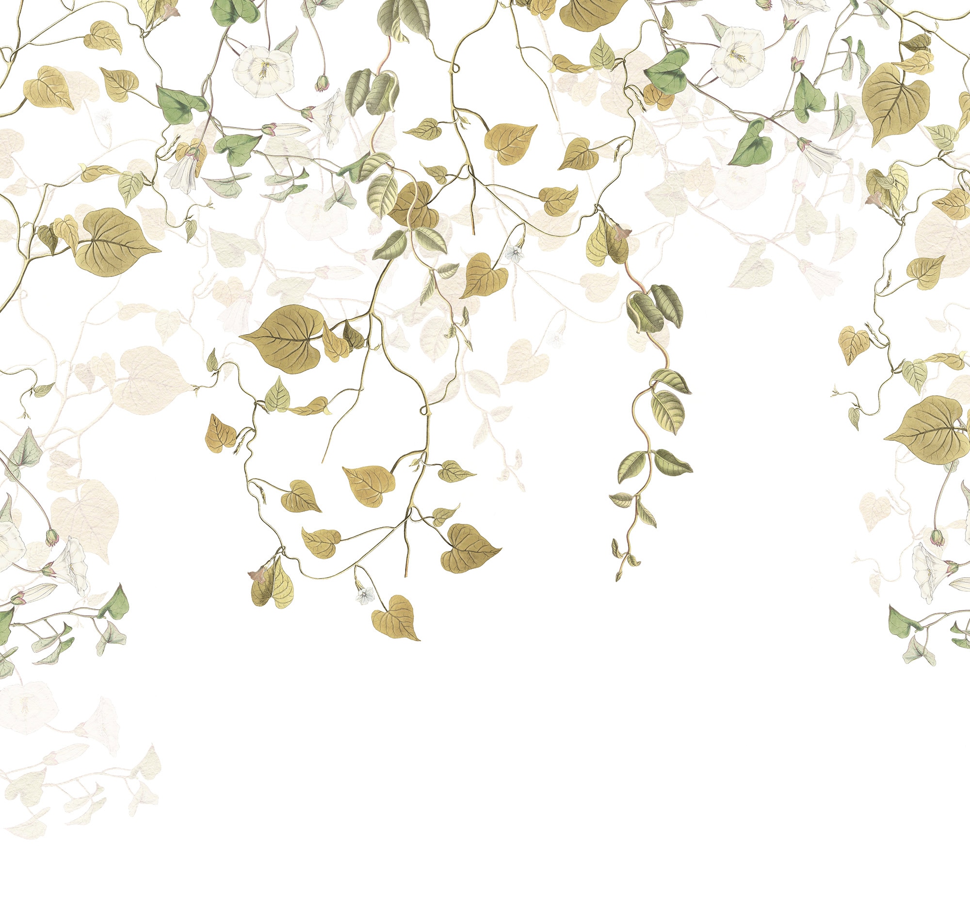 Vliestapete KOMAR "Digitaldruck Vlies - Hedera - Größe 300 x 280 cm", braun (weiß, braun), B:300m L:280m, Vlies, Tapeten, Wohnzimmer, Schlafzimmer