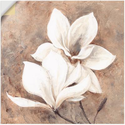 Wandbild ARTLAND "Klassische Magnolien", beige (farbe bild(er): naturfarben), B:40cm H:40cm, Bilder, als Alubild, Outdoorbild, Leinwandbild, Poster, Wandaufkleber Image
