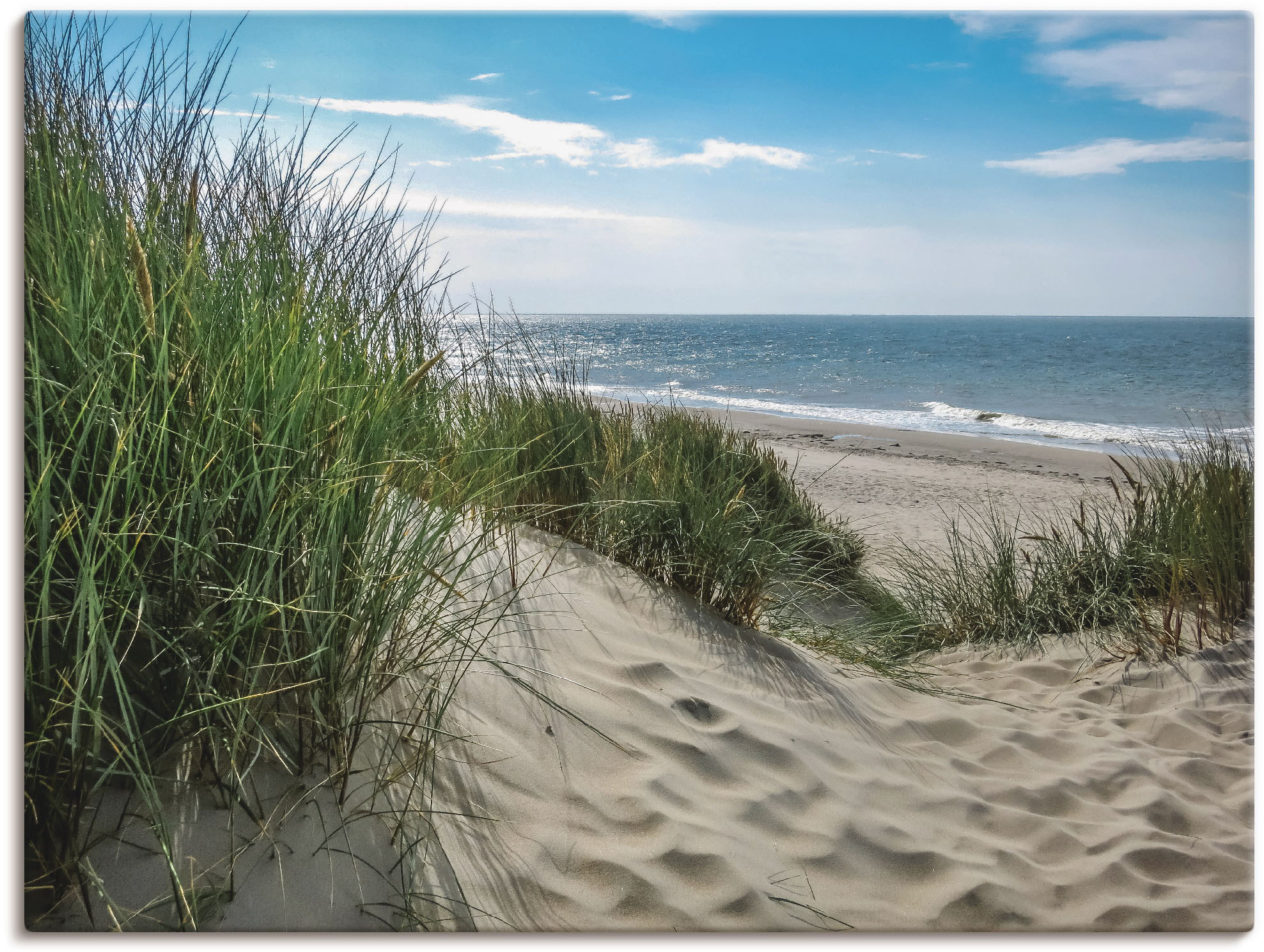 Wandbild ARTLAND "Dünenlandschaft im Sommer an der Nordsee", grün (farbe bild(er): grün), B:40cm H:30cm, Bilder, als Alubild, Outdoorbild, Leinwandbild, Poster, Wandaufkleber Image