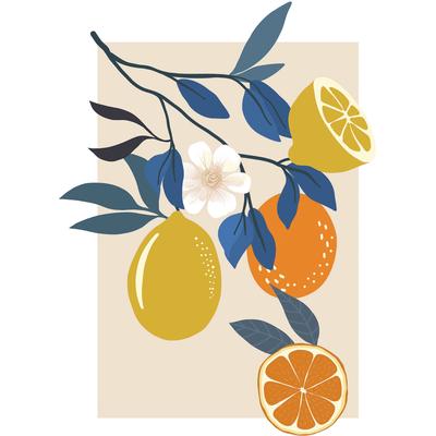 Bild KOMAR "Illustration Finest Fruits", bunt (farbe bild(er): bunt), B:50cm H:70cm, Papier, Holz, Bilder, Wandbild zur Dekoration - ohne Rahmen Image