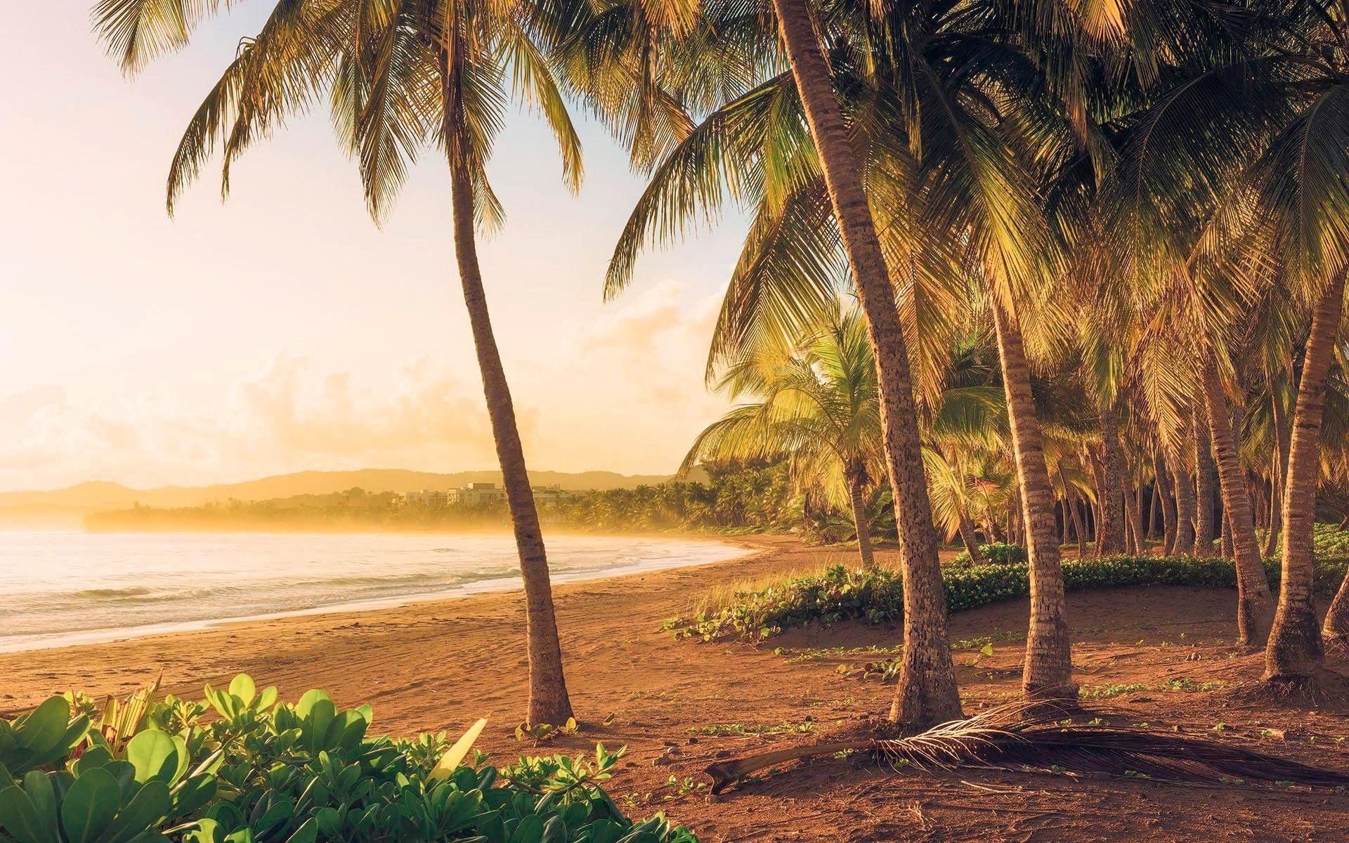 Vliestapete KOMAR "Digitaldruck Vlies - Golden Lands - Größe 400 x 250 cm", bunt, B:400m L:250m, Vlies, Tapeten, Wohnzimmer, Schlafzimmer