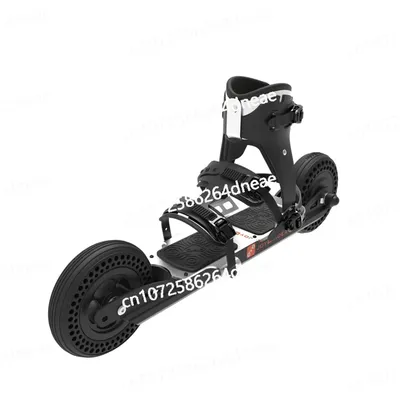 Adult Electric Skates