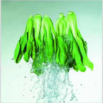 Professional Lettuce and Vegetables Dehydration Machines Commercial Food Vegetable and Fruit Centrifugal Drying Machine