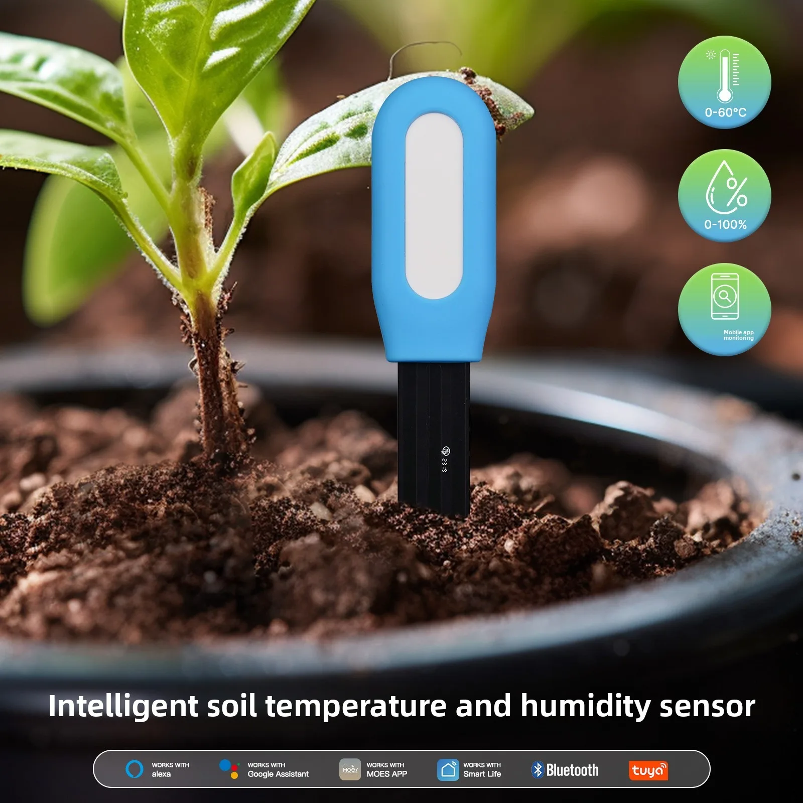 Soil Tester Humidity Temperature Moisture Bluetooth Smart Sensor Mobile Phone APP Real Time Monitor for Plant Garden