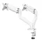Supporto per doppio monitor Supporto da scrivania per monitor Staffa per display espandibile completamente regolabile Supporto da scrivania per braccio per monitor per ufficio domestico