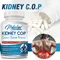 Kidney health - Calcium Oxalate Protectant, Kidney Support, Stop Stone Recurrence - 60 Capsules