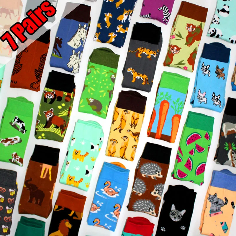 7 Paar neue lange Herrensocken Cartoon Tier Faultier Fuchs Elefant Igel Katze Waschbär Koala Zebra Karotte Kreative Damensocken 36-44 Image