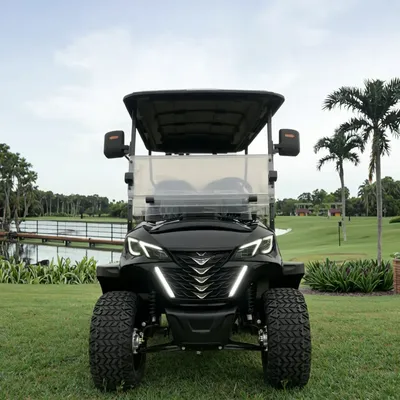 Manufacturer, electric golf cart, factory hunting cart, farmer cart, hunting cart, beach buggy, golf club cart golf buggy