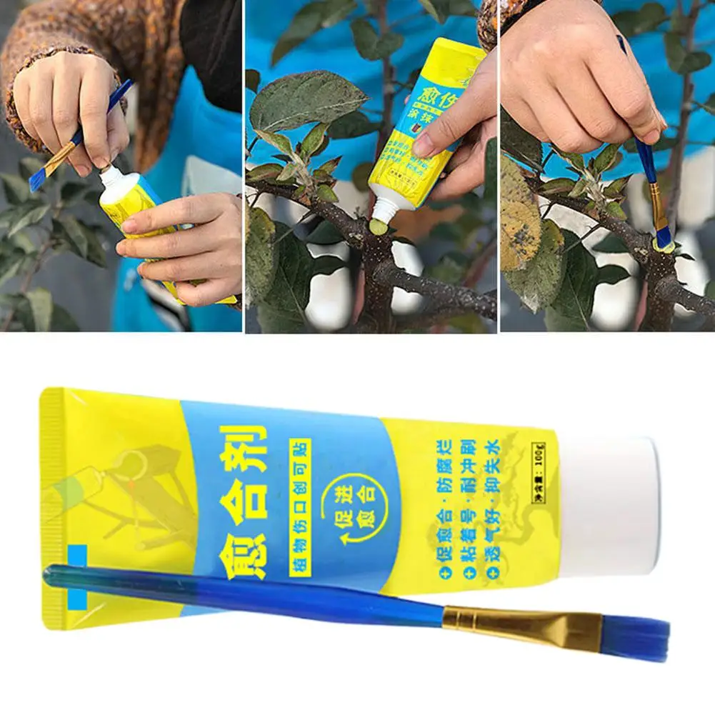 Schwarz Pfropfen Baum Versiegelung Baum Wunde Bonsai Schnitt Paste Pflanze Wiederherstellung Nachwachsen Versiegelung Abstrich Mittel Schutz Gartenarbeit Paste Image