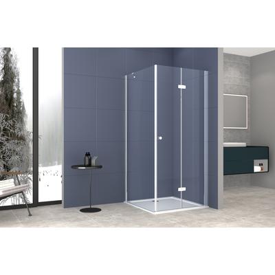 Dusch-Einflügeltür WELLTIME "Mixwell", silber (silberfarben), B:100cm H:195cm, Duschtüren, Baukastensystem Image
