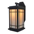 Gracie Oaks Kusiak 1-Light Outdoor Wall Lantern Glass in Yellow | 17.5 H x 8 W x 9 D in | Wayfair B9D0E4352AD34E1AA0F43696774ED402