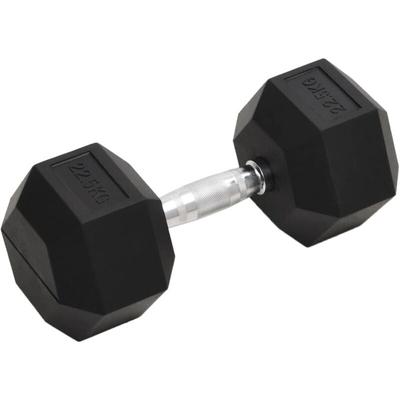 Kurzhantel 22,5 kg Gusseisen vidaXL Image