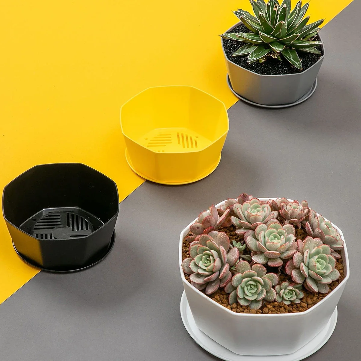 1PC Sukkulenten-Blumentopf, großkalibriger Blumentopf Image