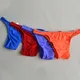 1pc uomini sexy biancheria intima semitrasparente slip pantaloncini custodia mutande elastiche mutandine da uomo sospensorio bikini