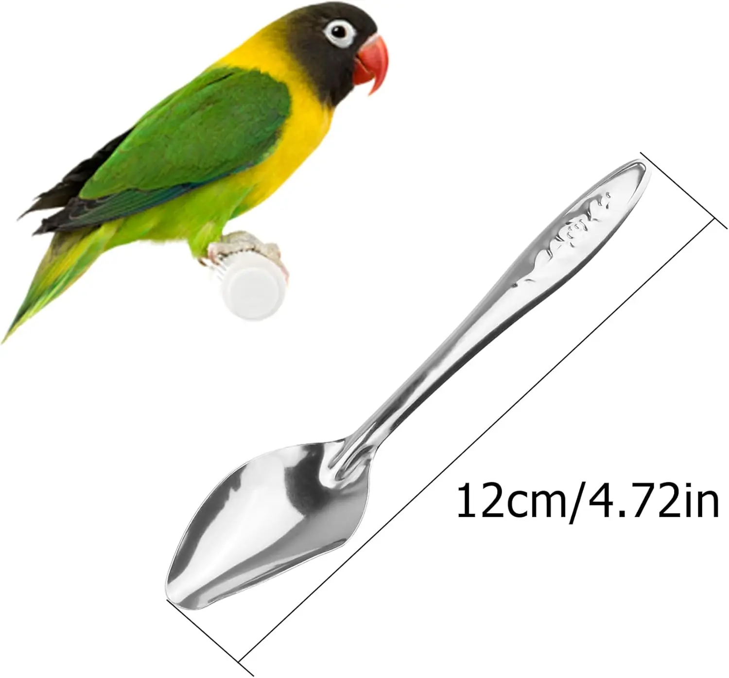 Futterlöffel aus Edelstahl für Vögel und Papageien, spezielle Futterlöffel, Medizinlöffel, Handfütterlöffel für Pfingstrose, Nymphensittiche Image