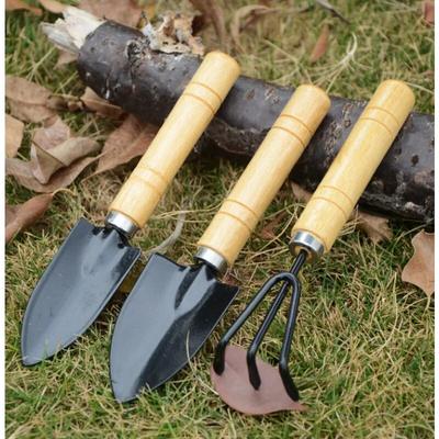 3pcs set Mini Shovel Rake Set Wooden Handle Metal Shovel For Flowers Potted Plants Mini Garden Tool Seed Disseminators big Money
