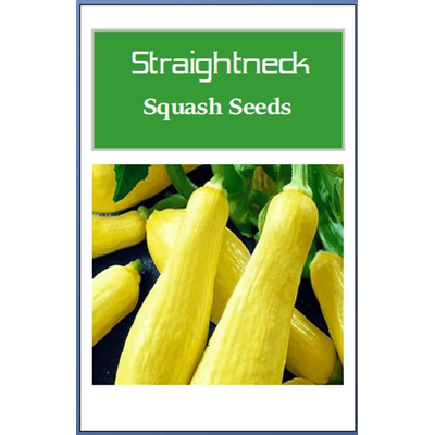 Straightneck Squash Seeds, Non GMO Heirloom Fresh Garden Seeds For Home Gardening 160 Seeds
