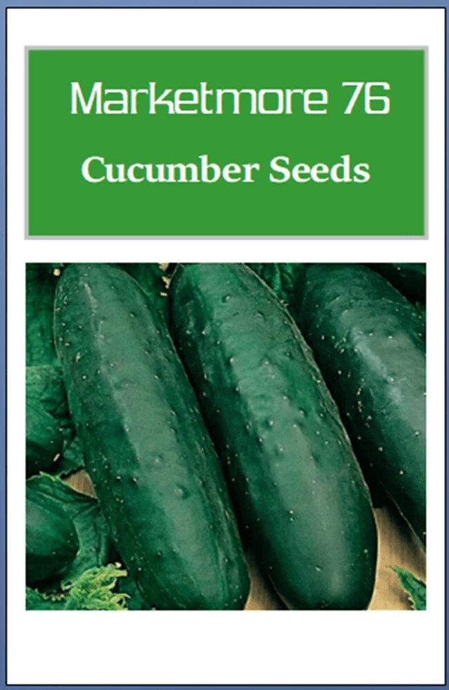 Marketmore 76 Cucumber Seeds, Non GMO Heirloom Garden Seeds, Best For Organic Gardening 50 Seeds