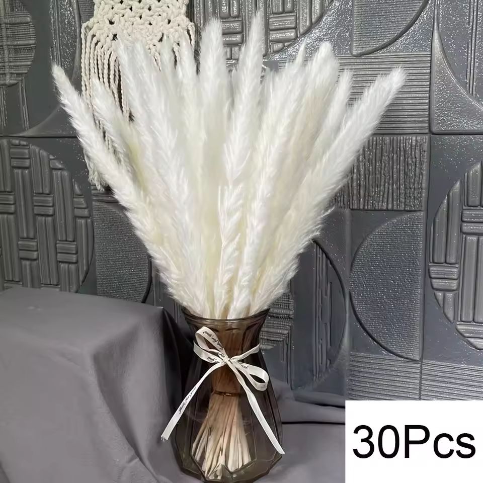Natural Dried Pampas Grass Bouquet Boho Bunny Tail Flowers For Home, Wedding, And Vase Decor m 30pcs