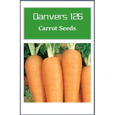 Danvers 126 Carrot Seeds, Non GMO Heirloom Vegetable Seeds For Garden Planting 150 Seeds
