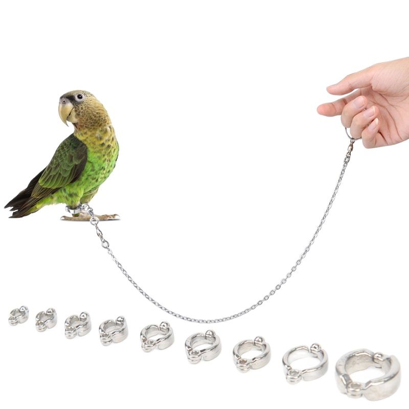 Stainless Steel Parrot Traction Rope: 50cm Chain For Safe Bird Travel number 7