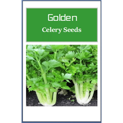 Non GMO Golden Celery Seeds, Heirloom Fresh Garden Seeds For Your Vegetable Garden 750 Seeds