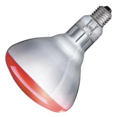 Philips 523425 - BR125 IR 250W E27 230-250V CL 1CT/10 (57523425) Heat Lamp Light Bulb
